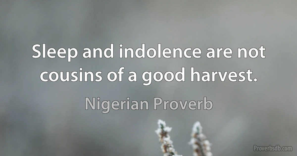 Sleep and indolence are not cousins of a good harvest. (Nigerian Proverb)