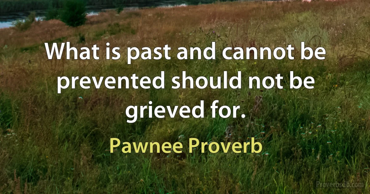 What is past and cannot be prevented should not be grieved for. (Pawnee Proverb)