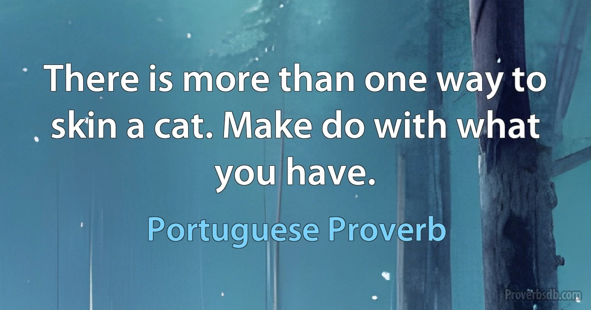 There is more than one way to skin a cat. Make do with what you have. (Portuguese Proverb)