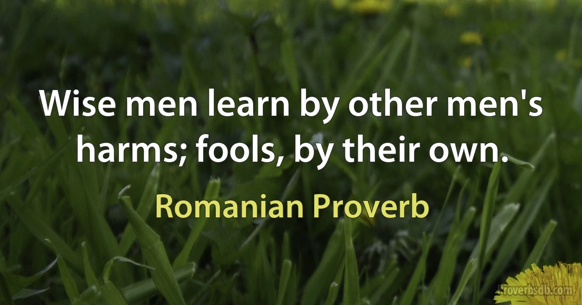 Wise men learn by other men's harms; fools, by their own. (Romanian Proverb)