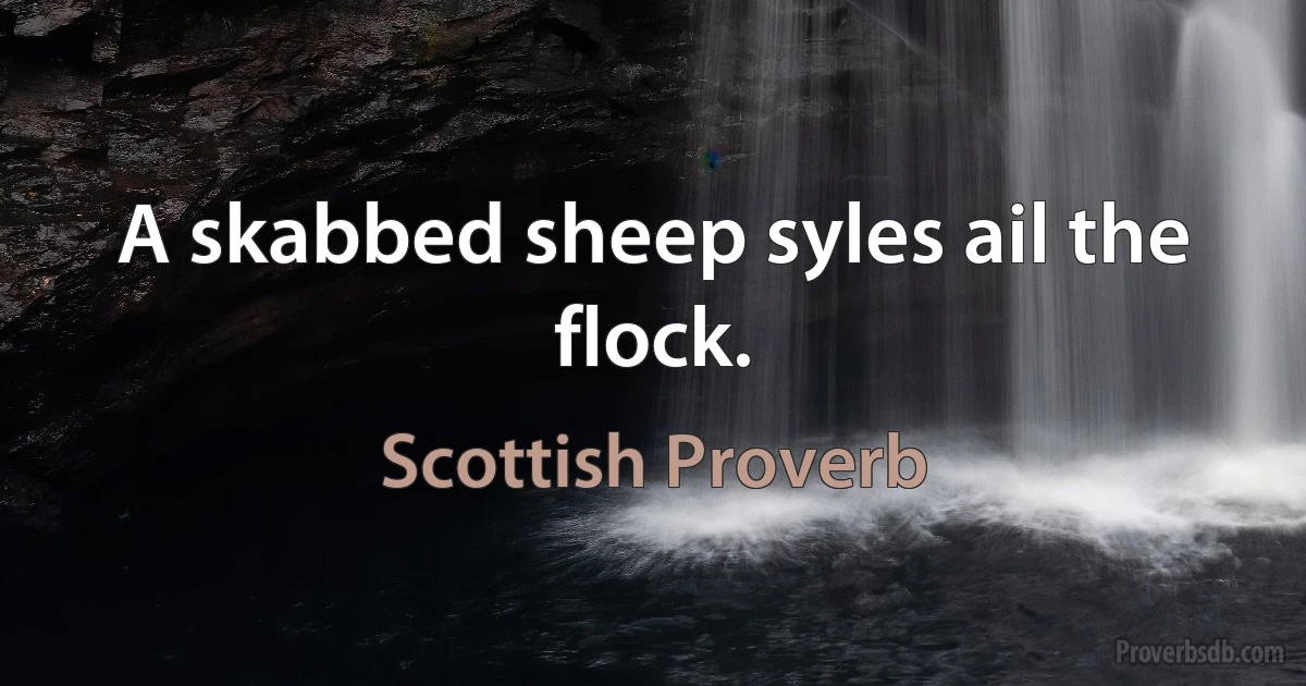 A skabbed sheep syles ail the flock. (Scottish Proverb)