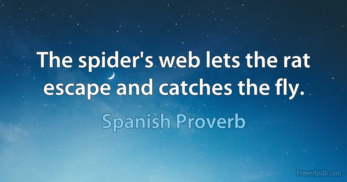 The spider's web lets the rat escape and catches the fly. (Spanish Proverb)