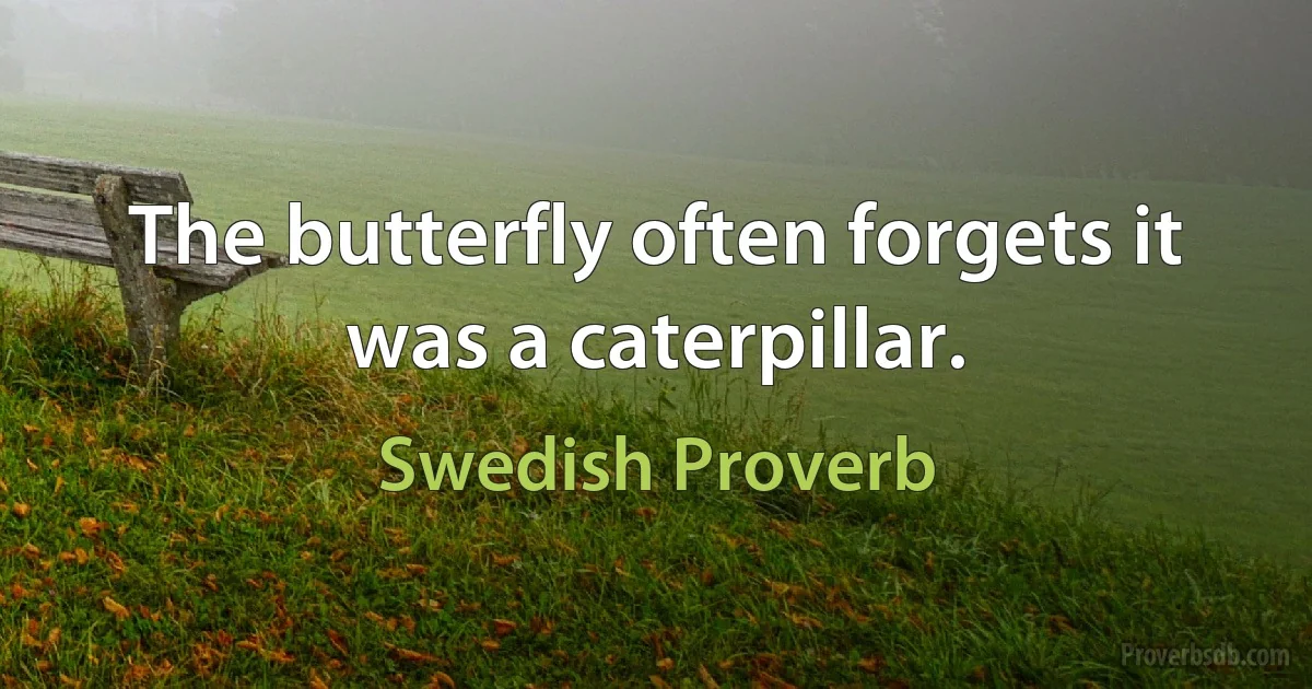 The butterfly often forgets it was a caterpillar. (Swedish Proverb)