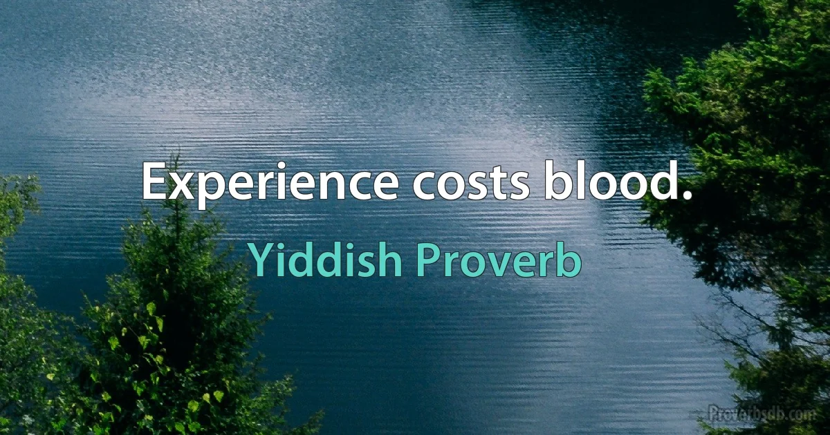 Experience costs blood. (Yiddish Proverb)