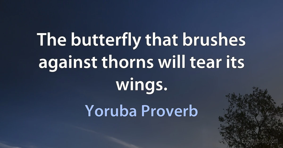 The butterfly that brushes against thorns will tear its wings. (Yoruba Proverb)