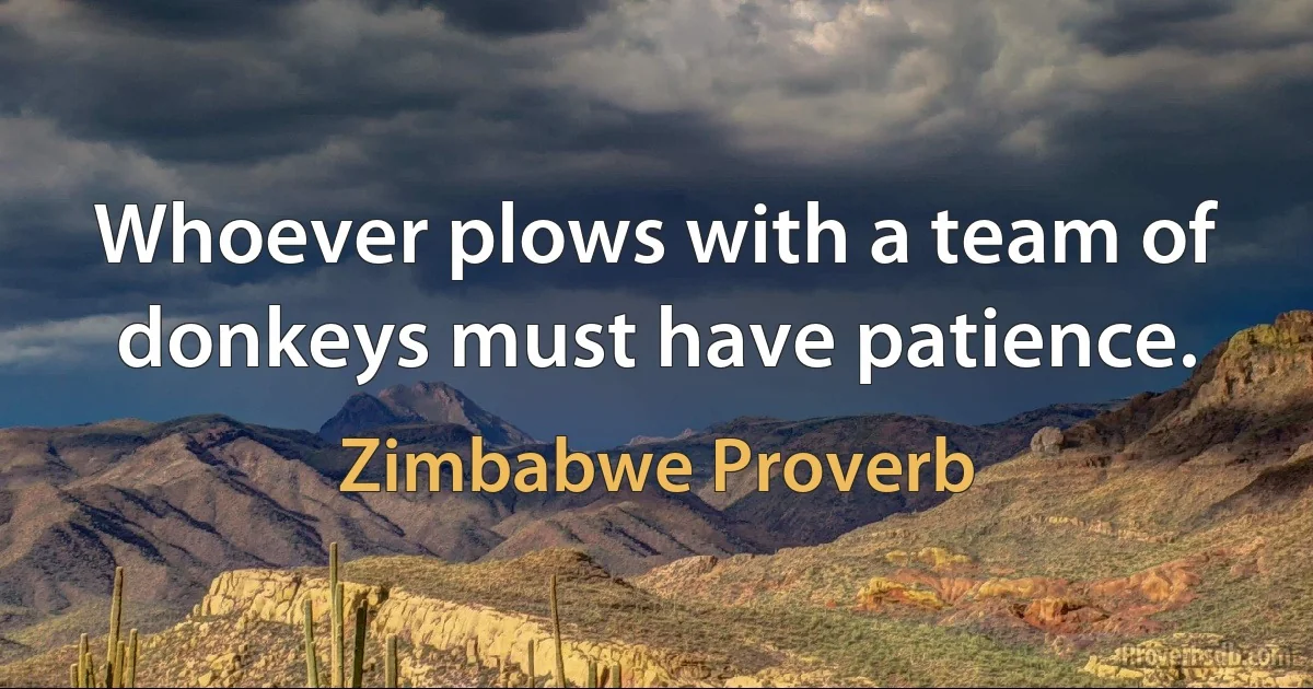 Whoever plows with a team of donkeys must have patience. (Zimbabwe Proverb)