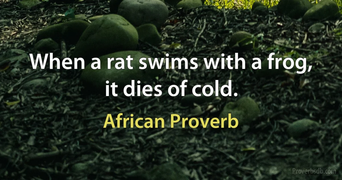 When a rat swims with a frog, it dies of cold. (African Proverb)