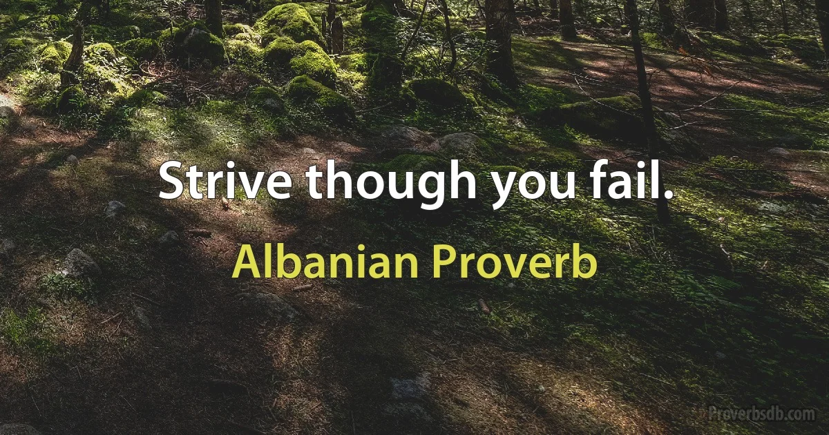 Strive though you fail. (Albanian Proverb)