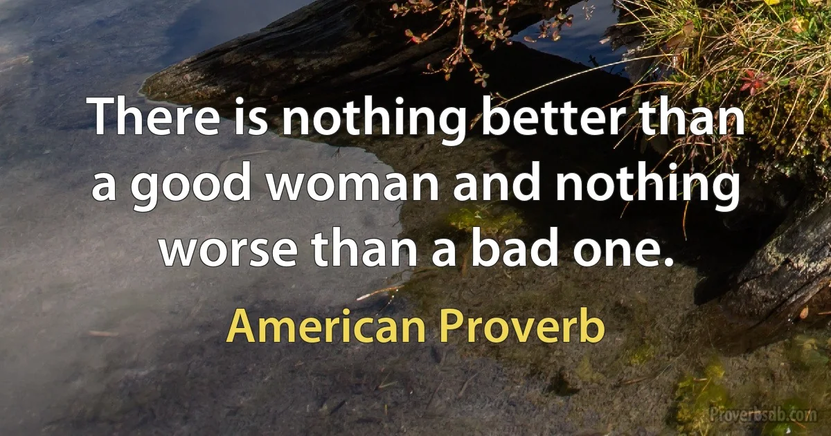 There is nothing better than a good woman and nothing worse than a bad one. (American Proverb)