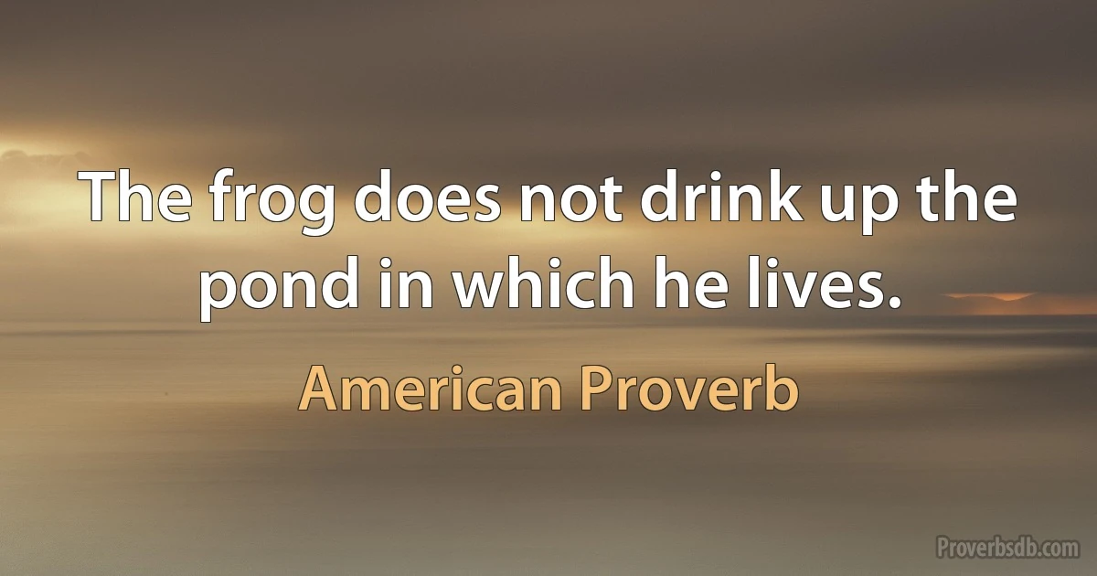 The frog does not drink up the pond in which he lives. (American Proverb)