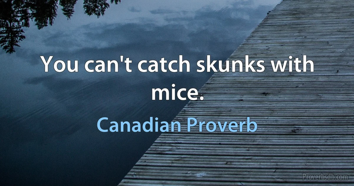 You can't catch skunks with mice. (Canadian Proverb)