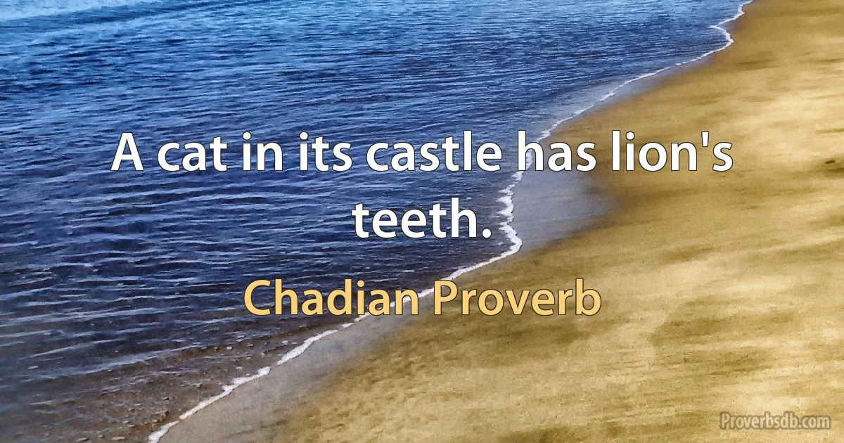 A cat in its castle has lion's teeth. (Chadian Proverb)