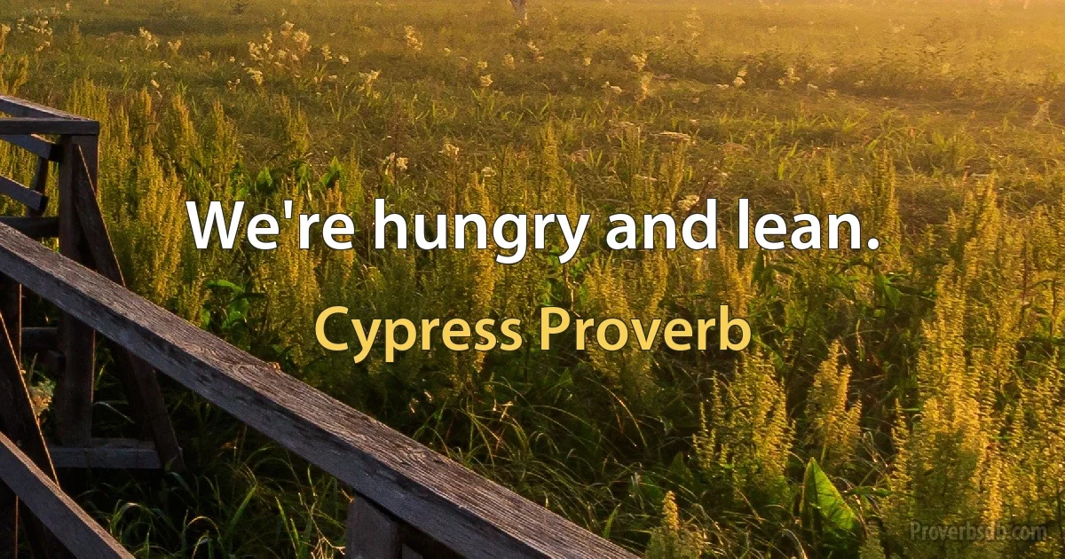 We're hungry and lean. (Cypress Proverb)