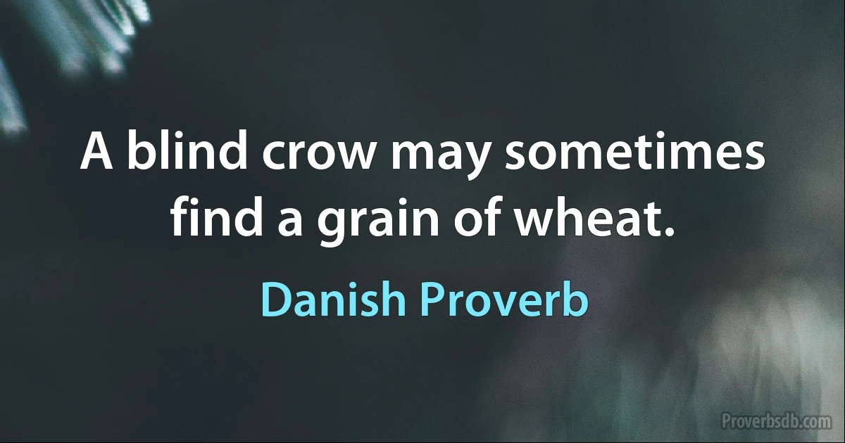 A blind crow may sometimes find a grain of wheat. (Danish Proverb)