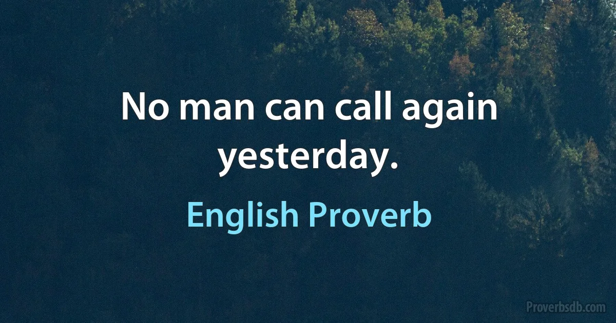 No man can call again yesterday. (English Proverb)