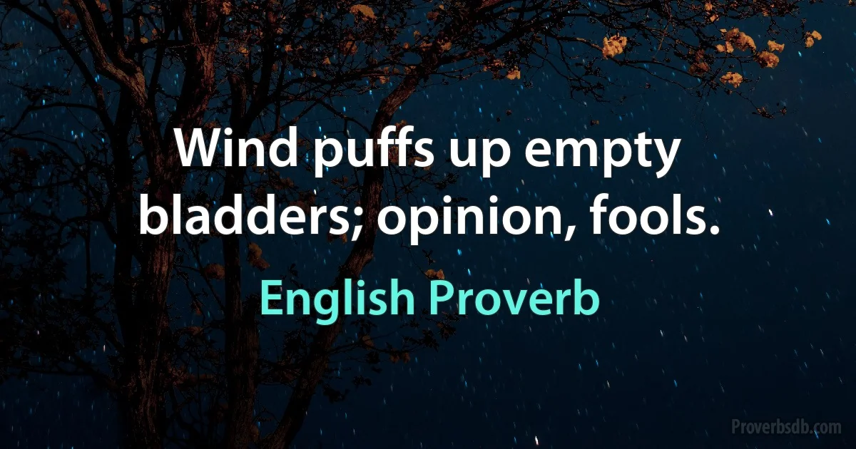 Wind puffs up empty bladders; opinion, fools. (English Proverb)