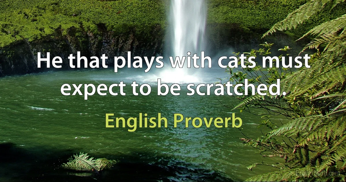 He that plays with cats must expect to be scratched. (English Proverb)