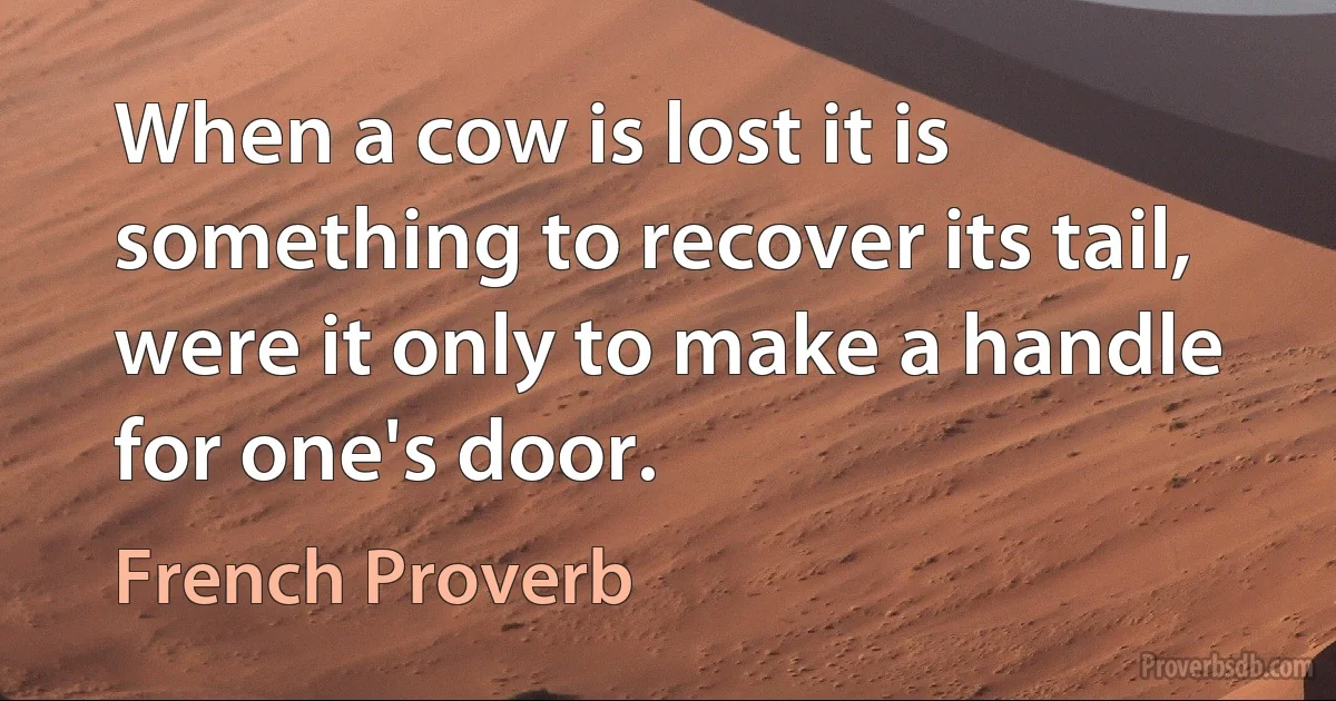 When a cow is lost it is something to recover its tail, were it only to make a handle for one's door. (French Proverb)