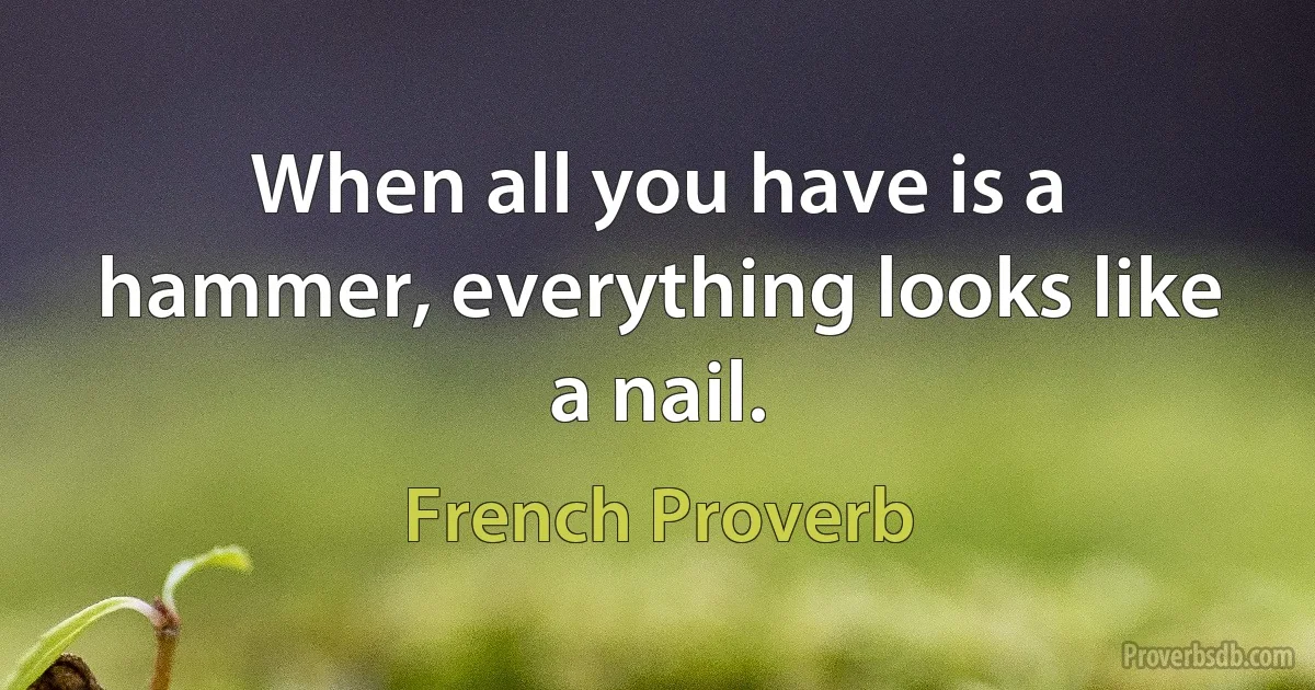 When all you have is a hammer, everything looks like a nail. (French Proverb)