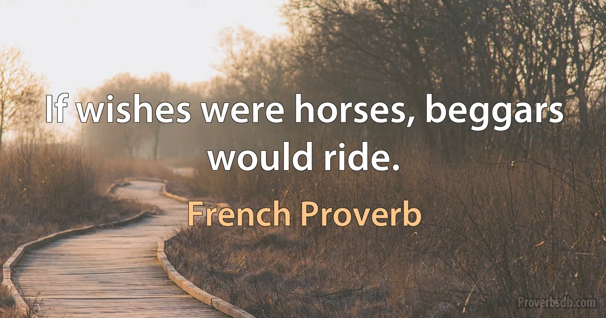 If wishes were horses, beggars would ride. (French Proverb)