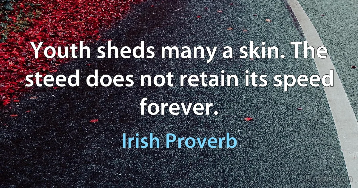 Youth sheds many a skin. The steed does not retain its speed forever. (Irish Proverb)