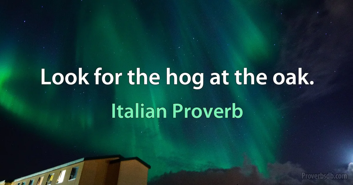 Look for the hog at the oak. (Italian Proverb)