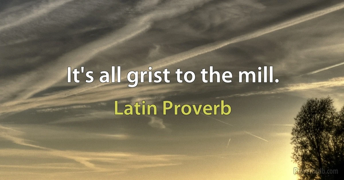 It's all grist to the mill. (Latin Proverb)