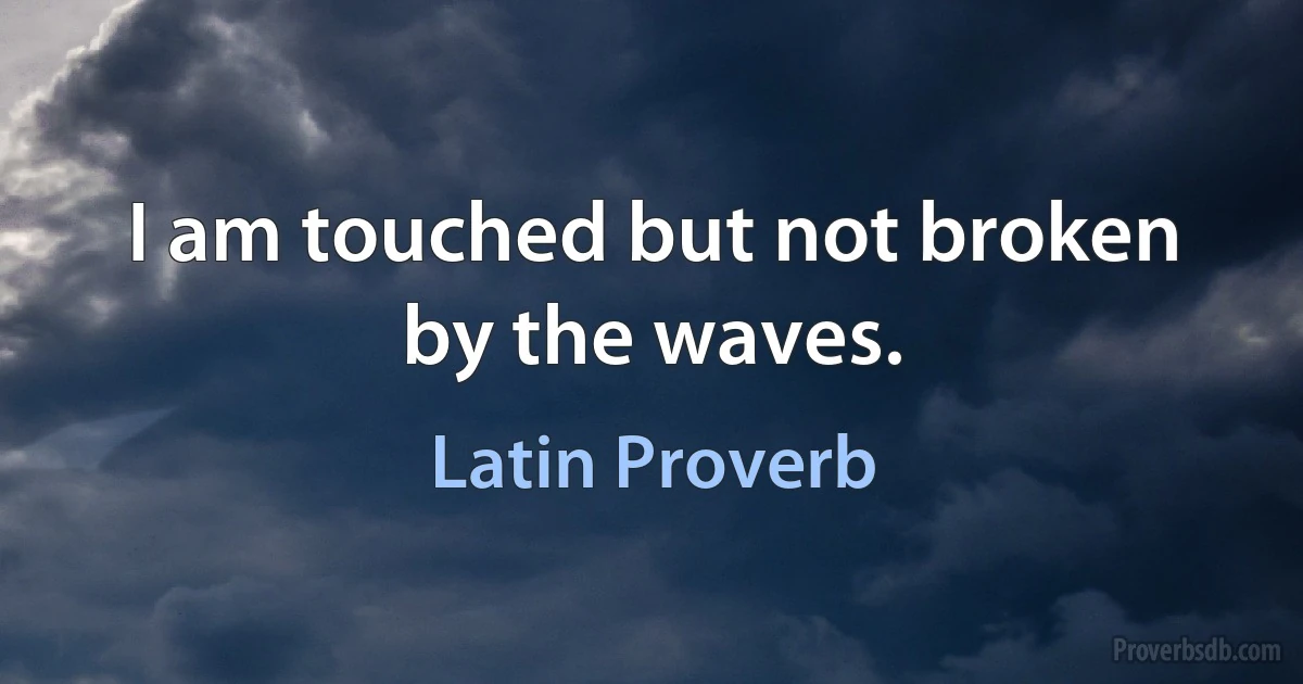 I am touched but not broken by the waves. (Latin Proverb)