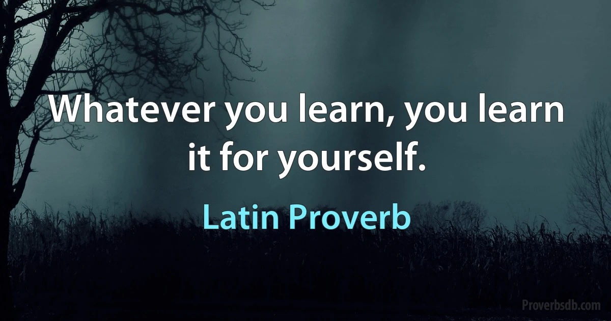 Whatever you learn, you learn it for yourself. (Latin Proverb)