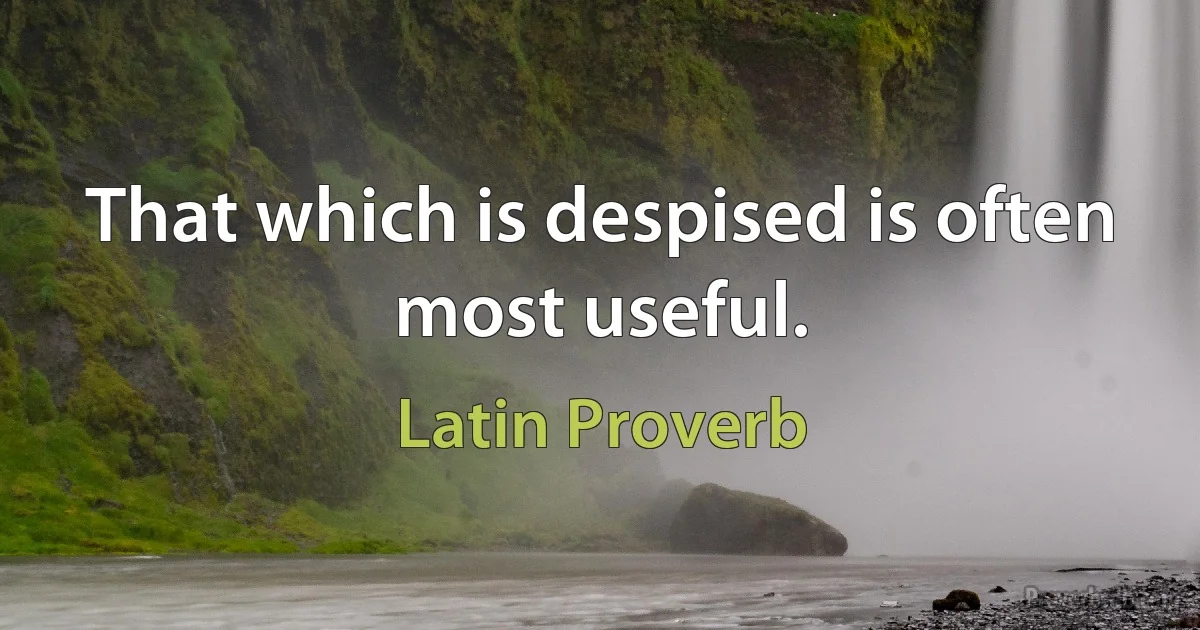 That which is despised is often most useful. (Latin Proverb)