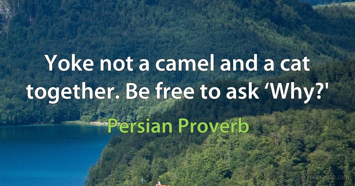 Yoke not a camel and a cat together. Be free to ask ‘Why?' (Persian Proverb)