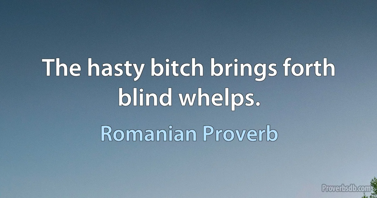 The hasty bitch brings forth blind whelps. (Romanian Proverb)