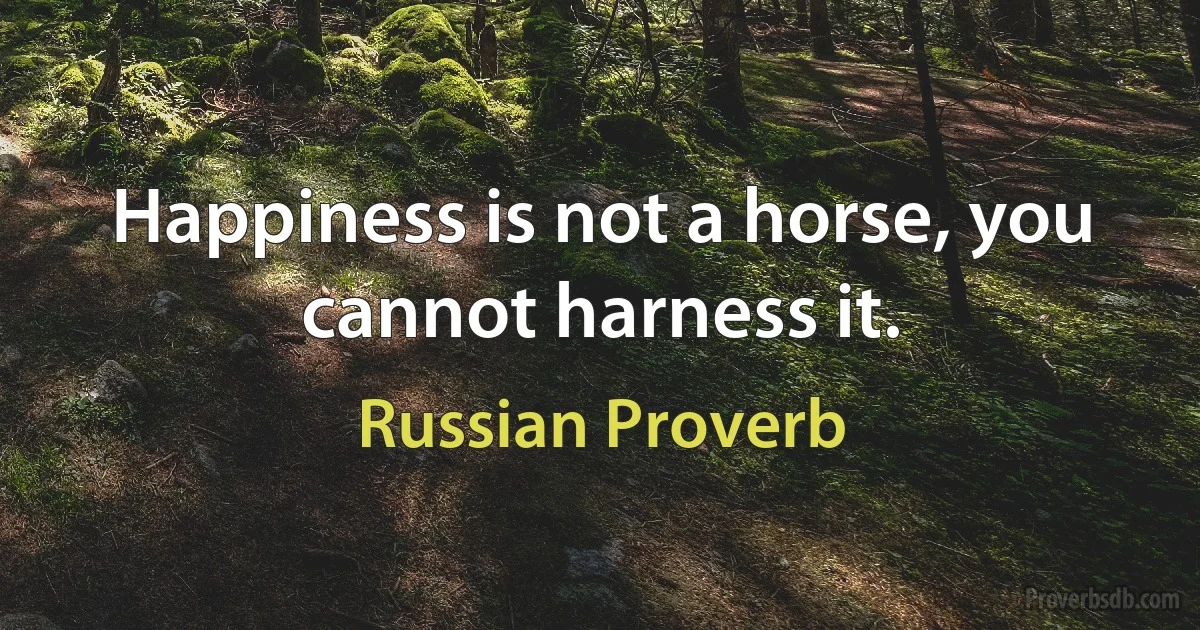 Happiness is not a horse, you cannot harness it. (Russian Proverb)