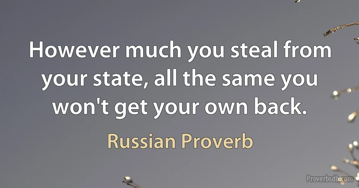 However much you steal from your state, all the same you won't get your own back. (Russian Proverb)