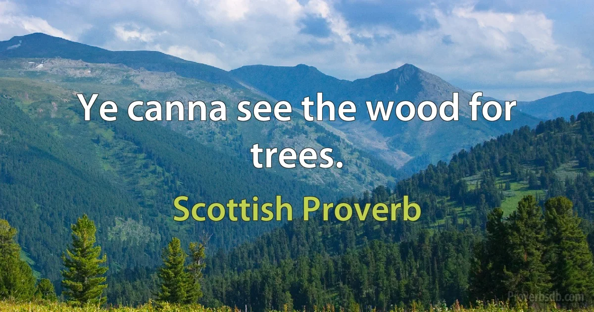 Ye canna see the wood for trees. (Scottish Proverb)