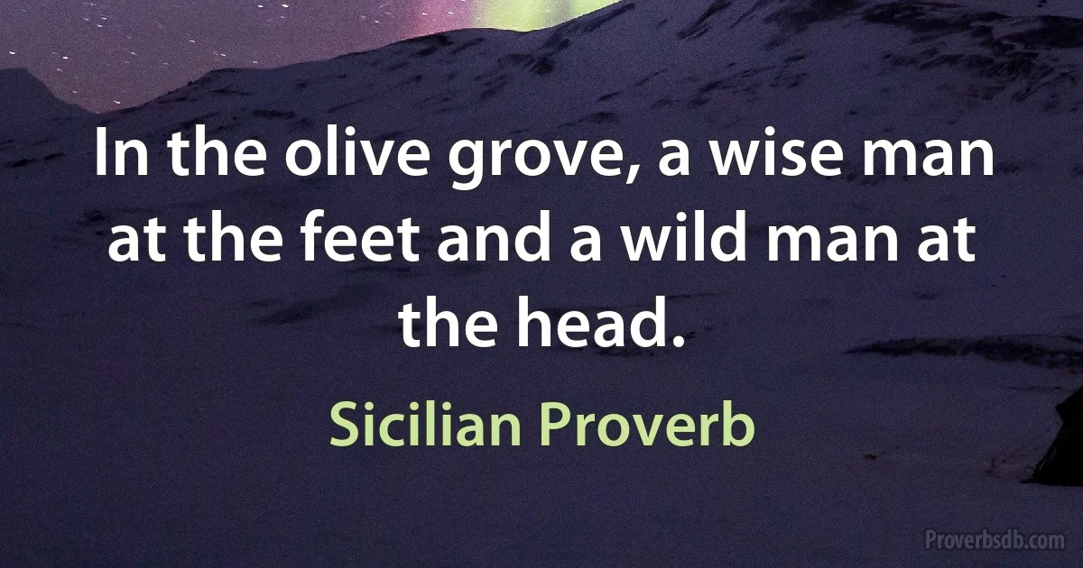 In the olive grove, a wise man at the feet and a wild man at the head. (Sicilian Proverb)