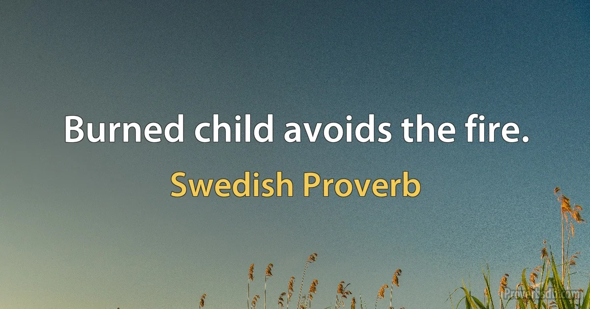 Burned child avoids the fire. (Swedish Proverb)