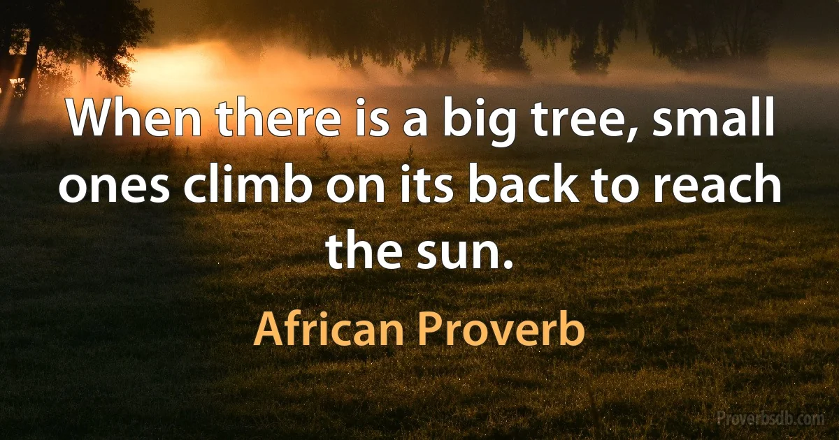 When there is a big tree, small ones climb on its back to reach the sun. (African Proverb)