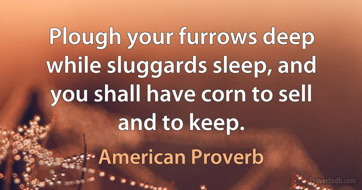 Plough your furrows deep while sluggards sleep, and you shall have corn to sell and to keep. (American Proverb)