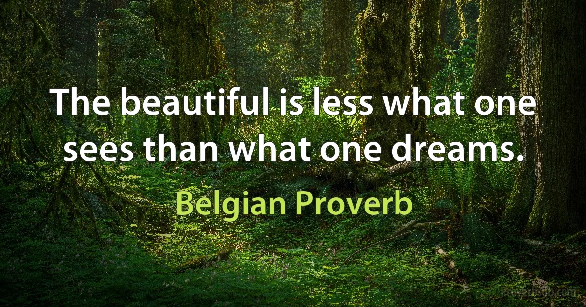 The beautiful is less what one sees than what one dreams. (Belgian Proverb)