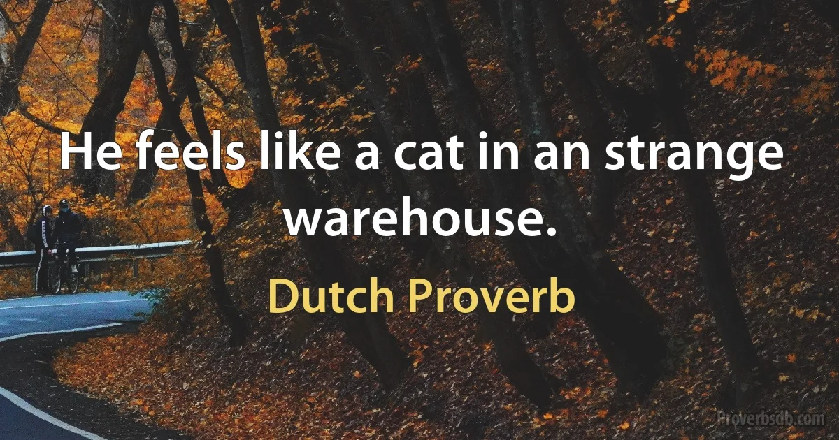 He feels like a cat in an strange warehouse. (Dutch Proverb)