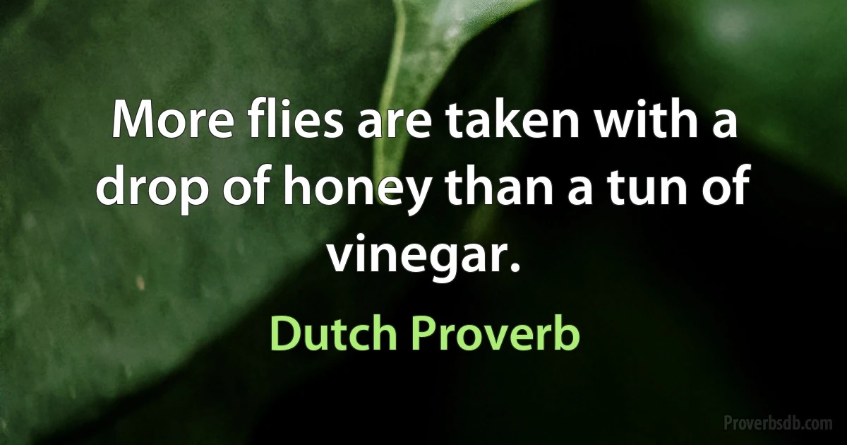 More flies are taken with a drop of honey than a tun of vinegar. (Dutch Proverb)