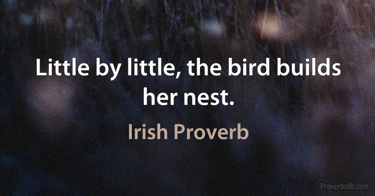 Little by little, the bird builds her nest. (Irish Proverb)