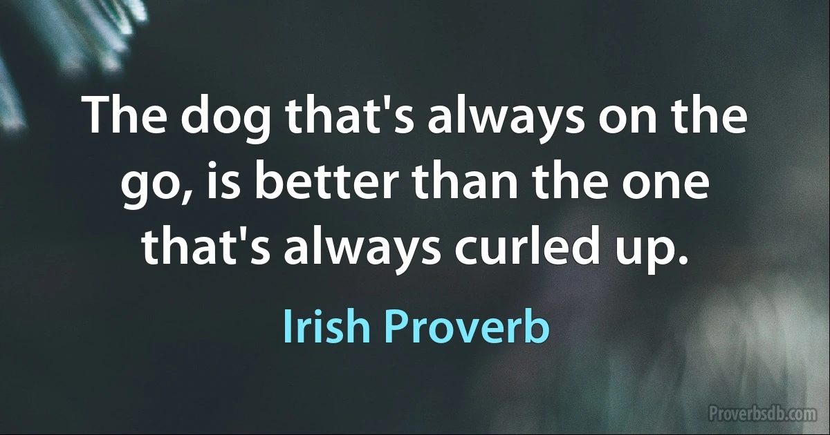 The dog that's always on the go, is better than the one that's always curled up. (Irish Proverb)