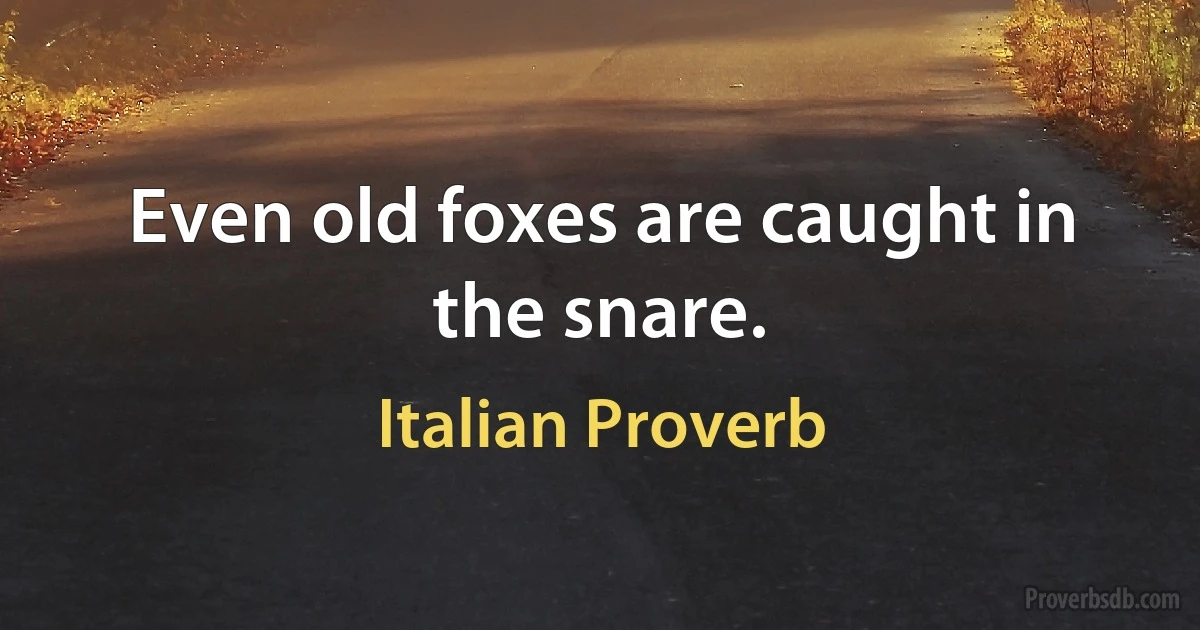 Even old foxes are caught in the snare. (Italian Proverb)