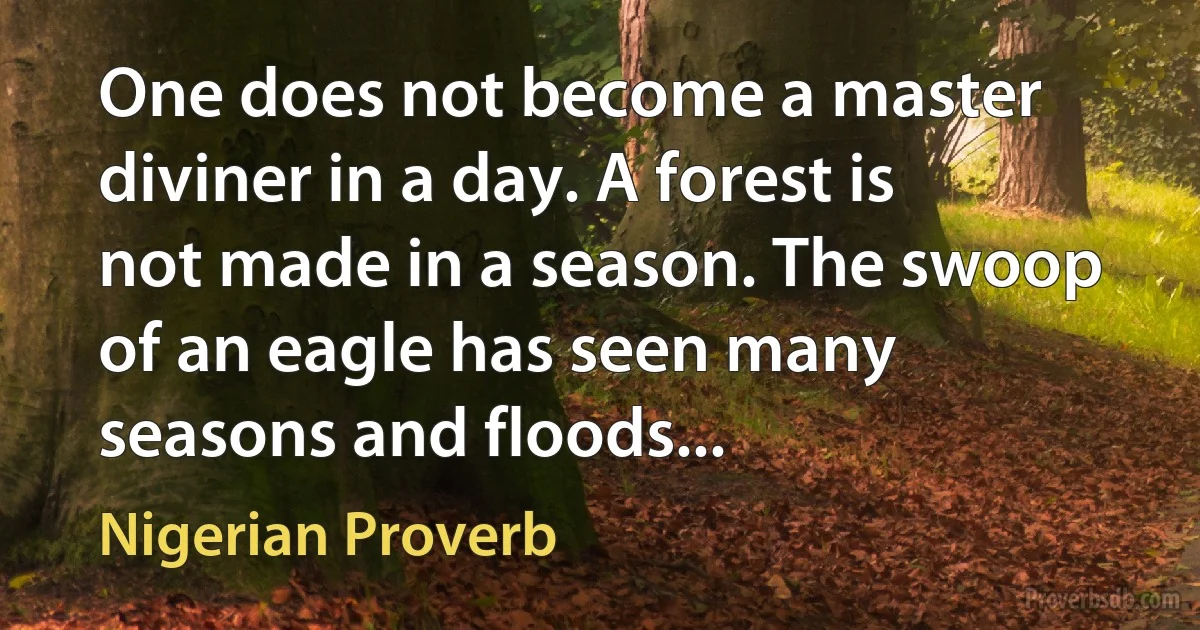 One does not become a master diviner in a day. A forest is not made in a season. The swoop of an eagle has seen many seasons and floods... (Nigerian Proverb)