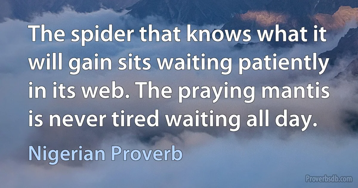 The spider that knows what it will gain sits waiting patiently in its web. The praying mantis is never tired waiting all day. (Nigerian Proverb)