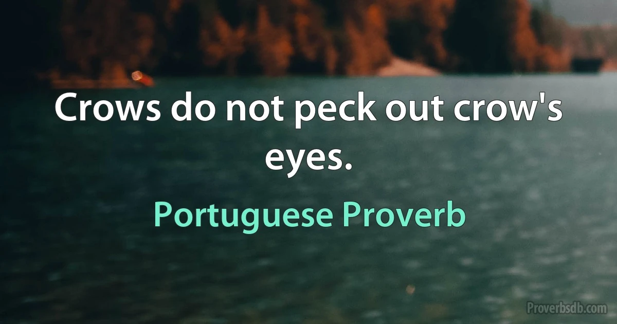 Crows do not peck out crow's eyes. (Portuguese Proverb)