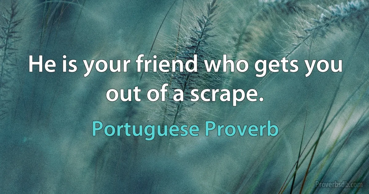 He is your friend who gets you out of a scrape. (Portuguese Proverb)