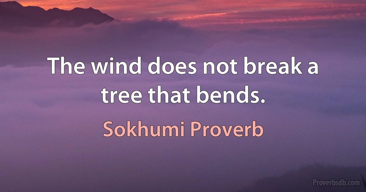 The wind does not break a tree that bends. (Sokhumi Proverb)